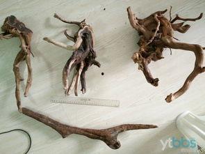 铁胆老差骨,传奇江湖的传奇英雄